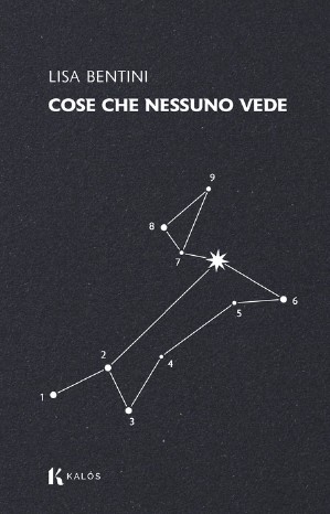 Cose che nessuno vede di Lisa Bentini