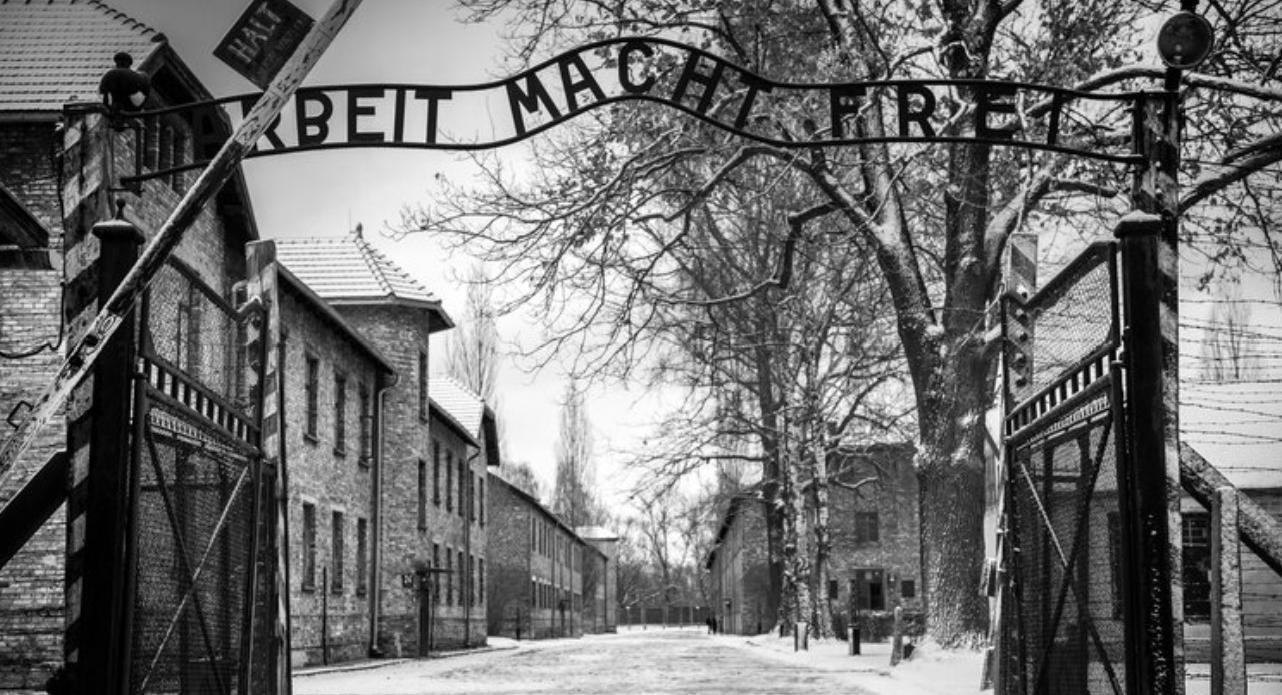 Per non dimenticare: nuovi libri per il Giorno della Memoria 2026