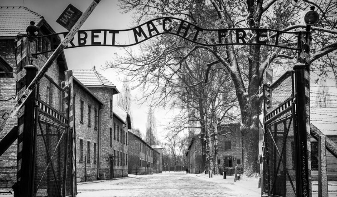 Per non dimenticare: nuovi libri per il Giorno della Memoria 2026