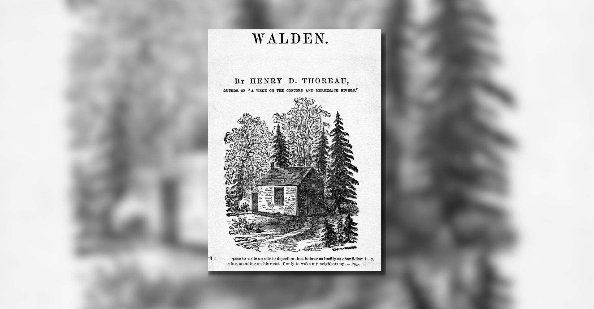 Perché leggere oggi "Walden, ovvero vita nei boschi" di Thoreau (che fu un precursore)