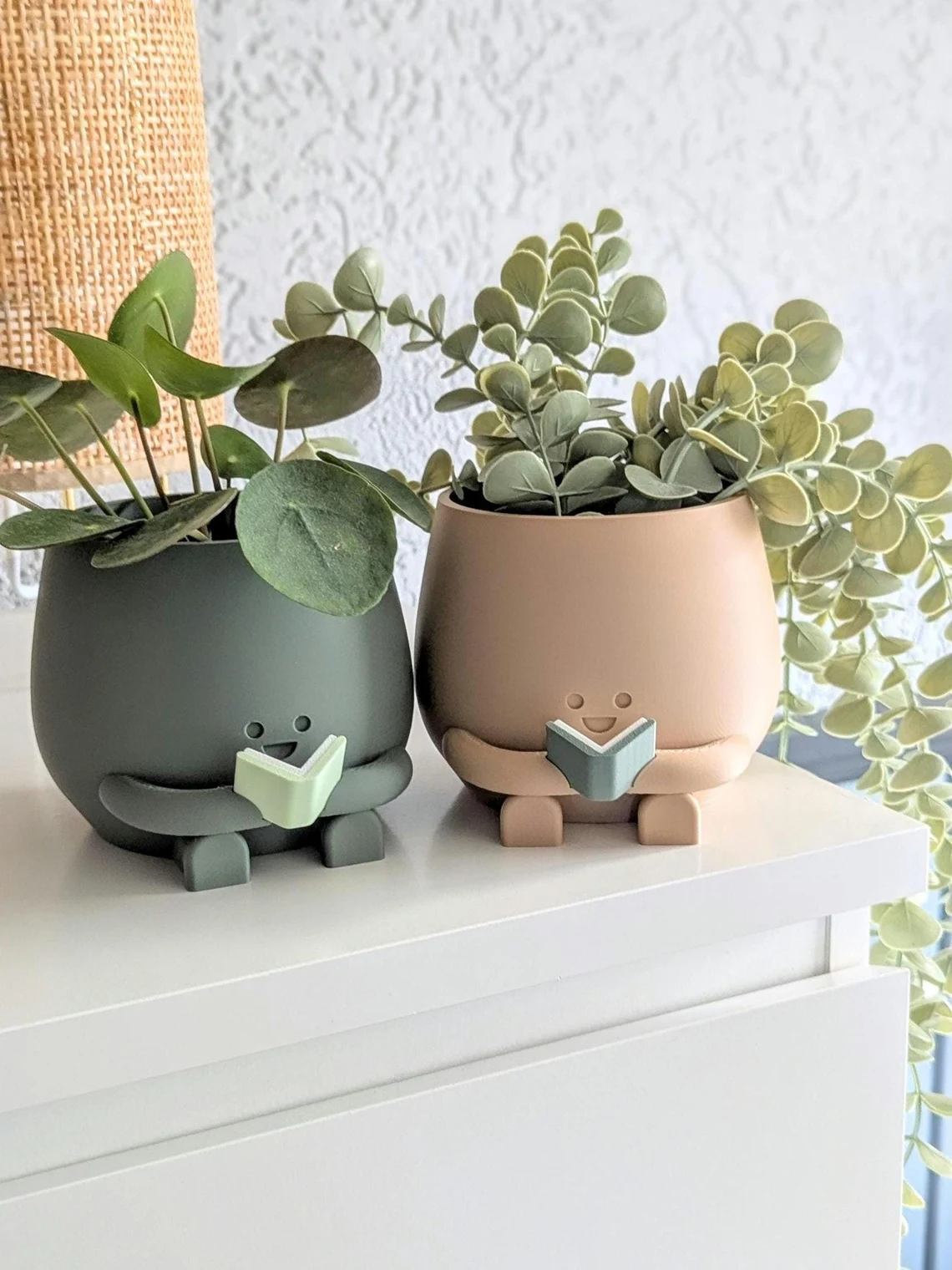 vasi per piante che leggono