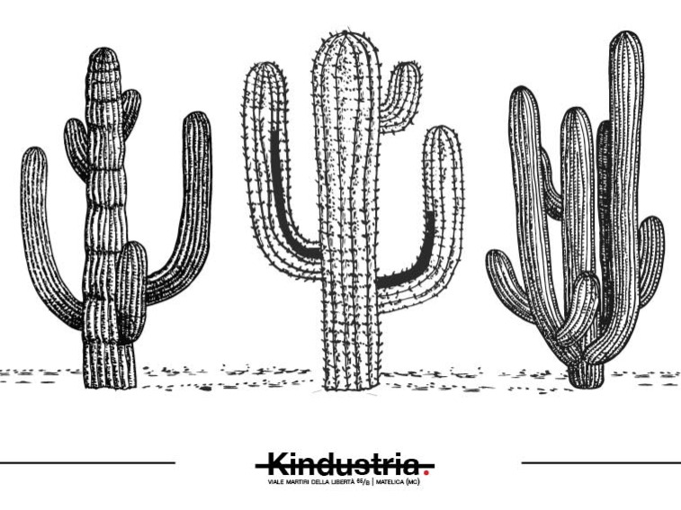Kindustria Libreria