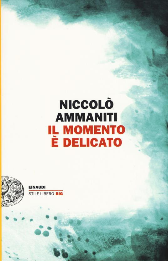 copertina di Il momento è delicato di Niccolò ammaniti