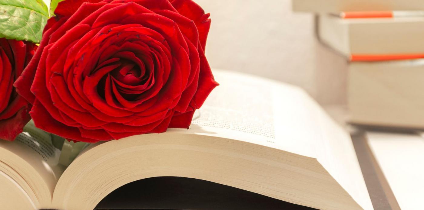 Libri, libri e rose