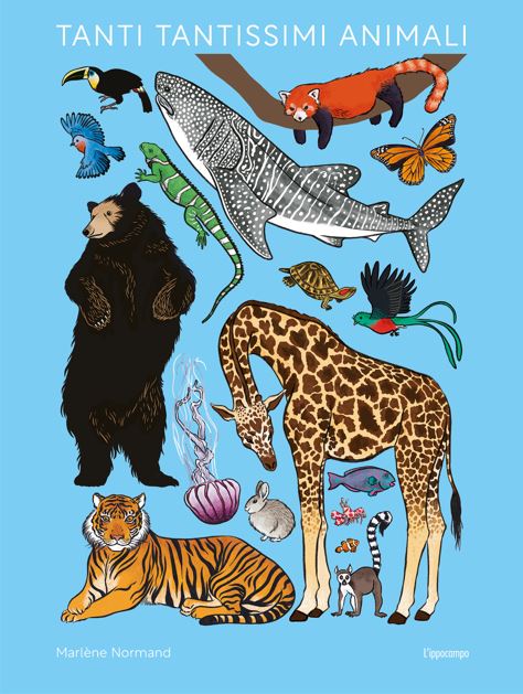 copertina di Tanti tantissimi animali libri per bambini 2026