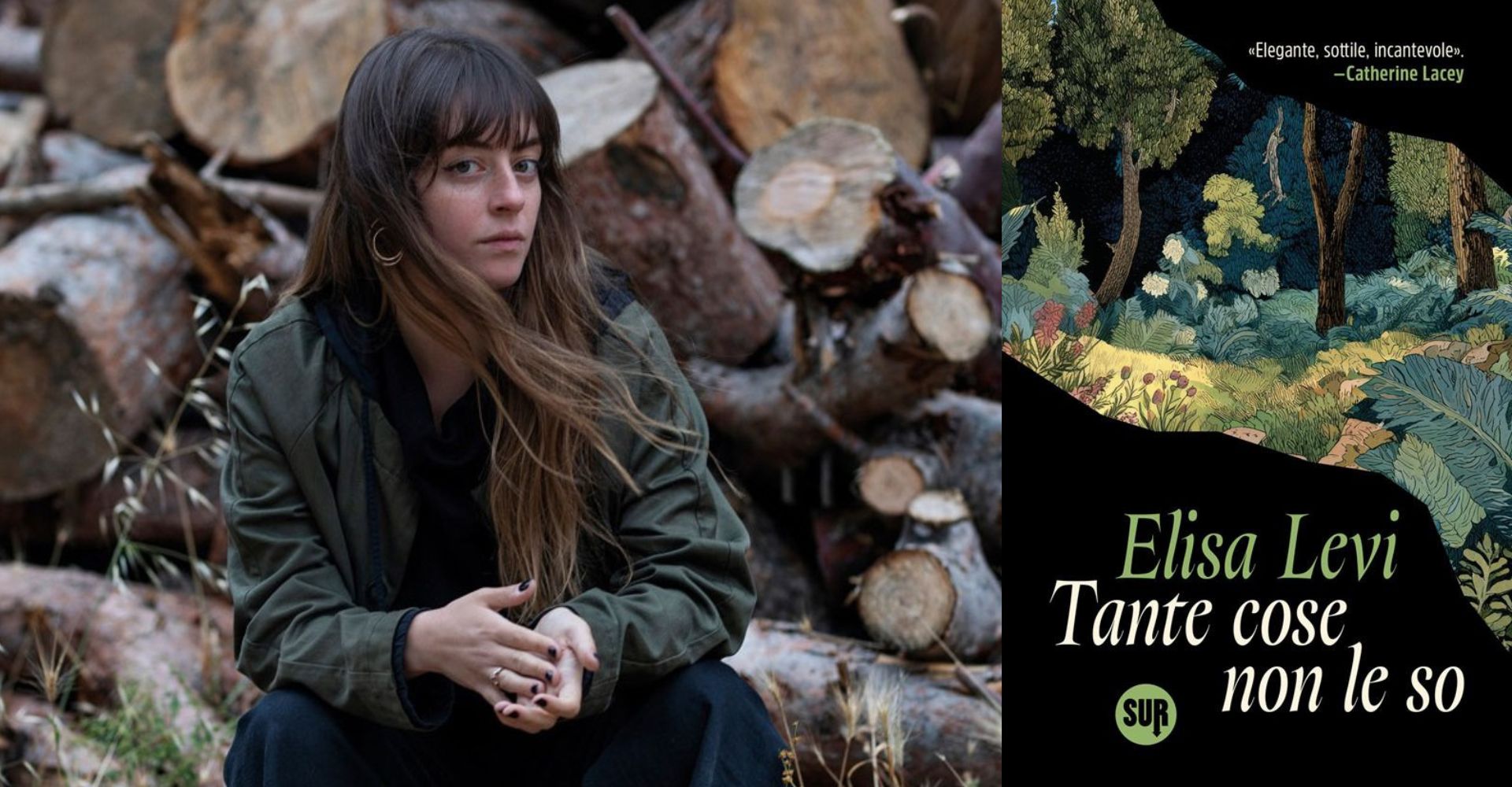 "Tante cose non le so" di Elisa Levi: un racconto ipnotico al limitare del bosco