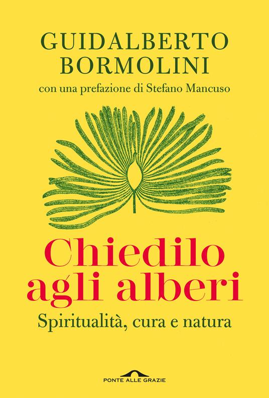 copertina di Chiedilo agli alberi - Spiritualità, cura e natura, libri da leggere estate 2026