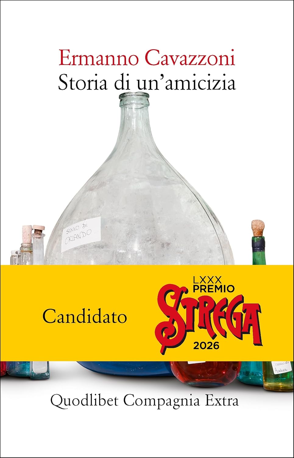 Copertina del libro Storia di un'amicizia di Ermanno Cavazzoni