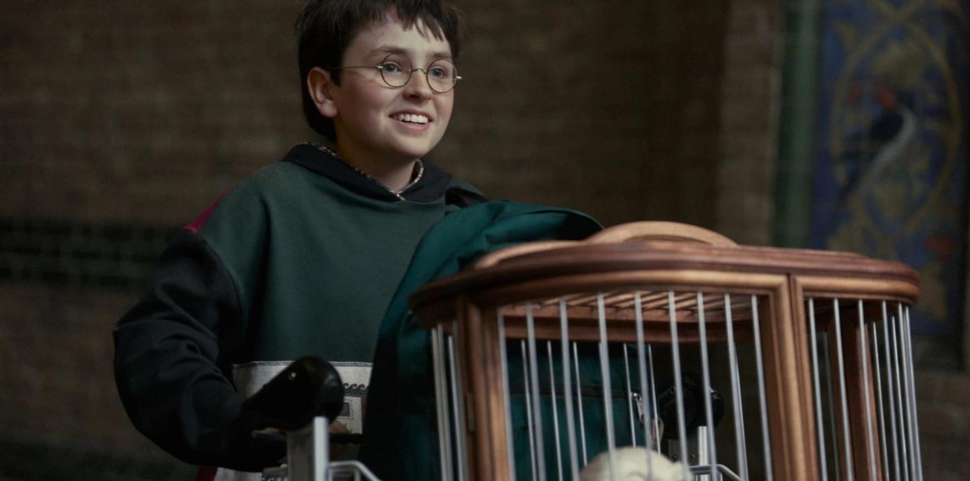 locandina della serie Harry Potter. Credits: Aidan Monaghan/HBO