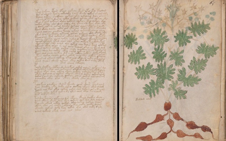 Il manoscritto Voynich