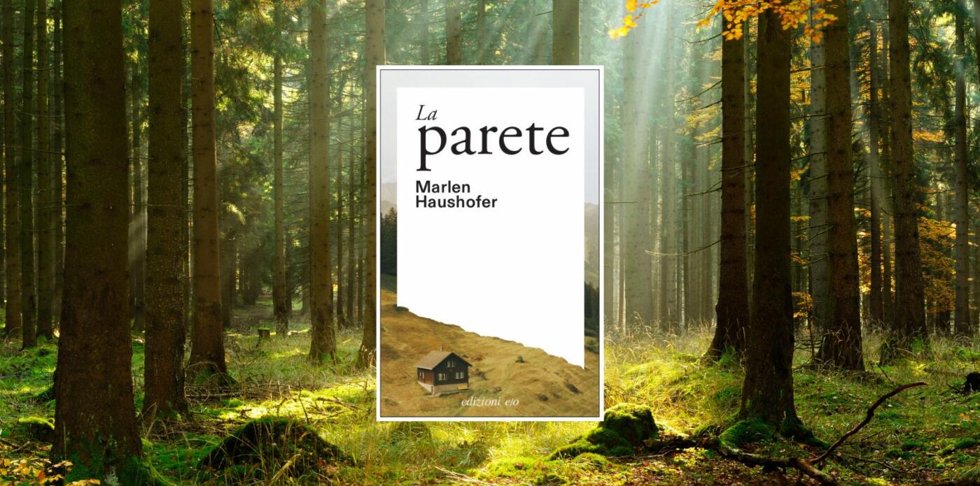 Marlen Haushofer, La parete