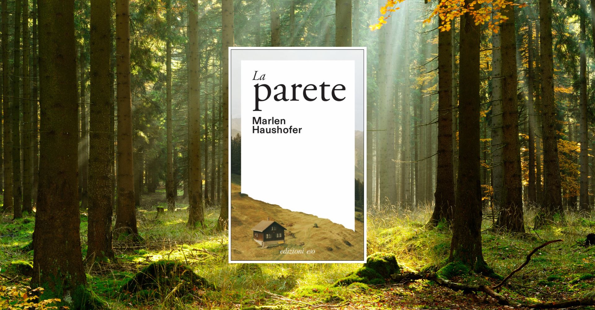"La parete" e il lento e ostinato lavoro del vivere è ciò di cui vogliamo leggere