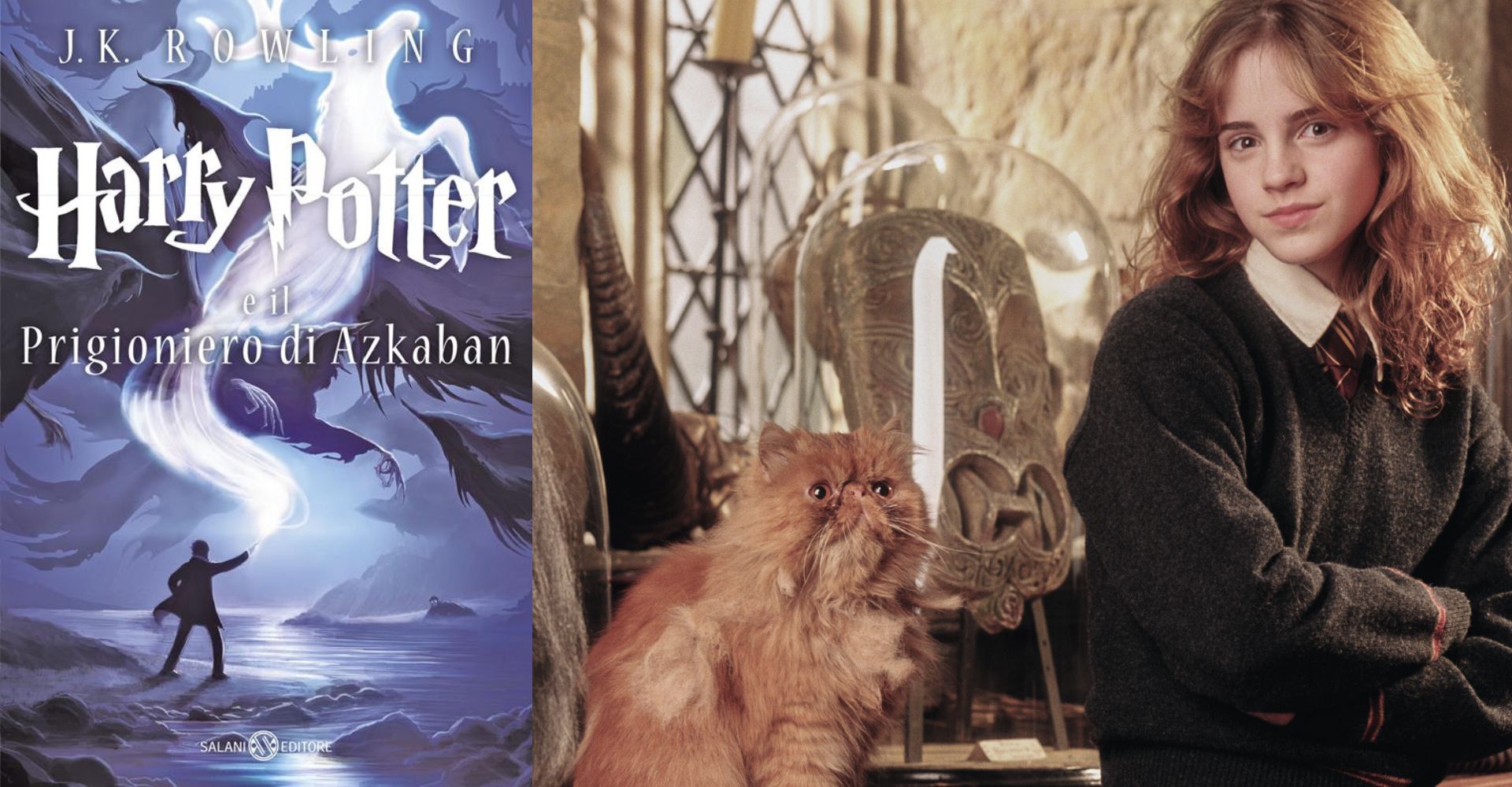 Il gatto Grattastinchi ed Hermione in Harry Potter e Il prigioniero di Azkaban, Getty Images 01-07-2026