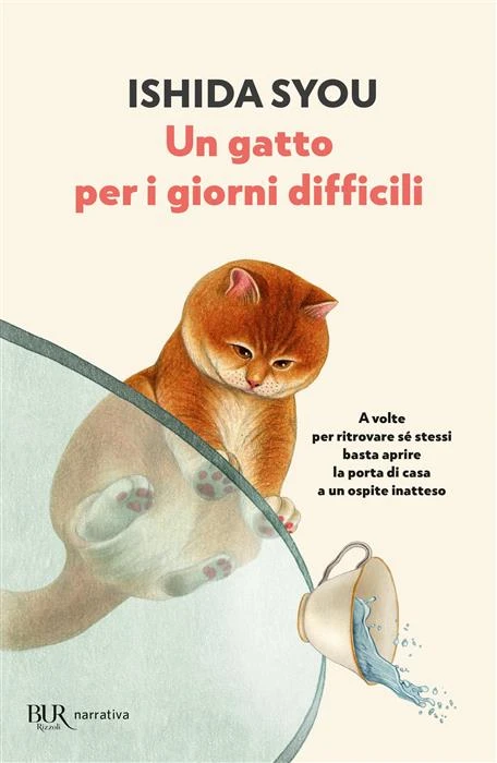 copertina Un gatto per i giorni difficili, libri coccola