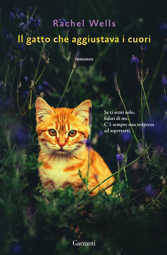 Il gatto che aggiustava i cuori di Rachel Wells è uno dei gatti famosi dei libri