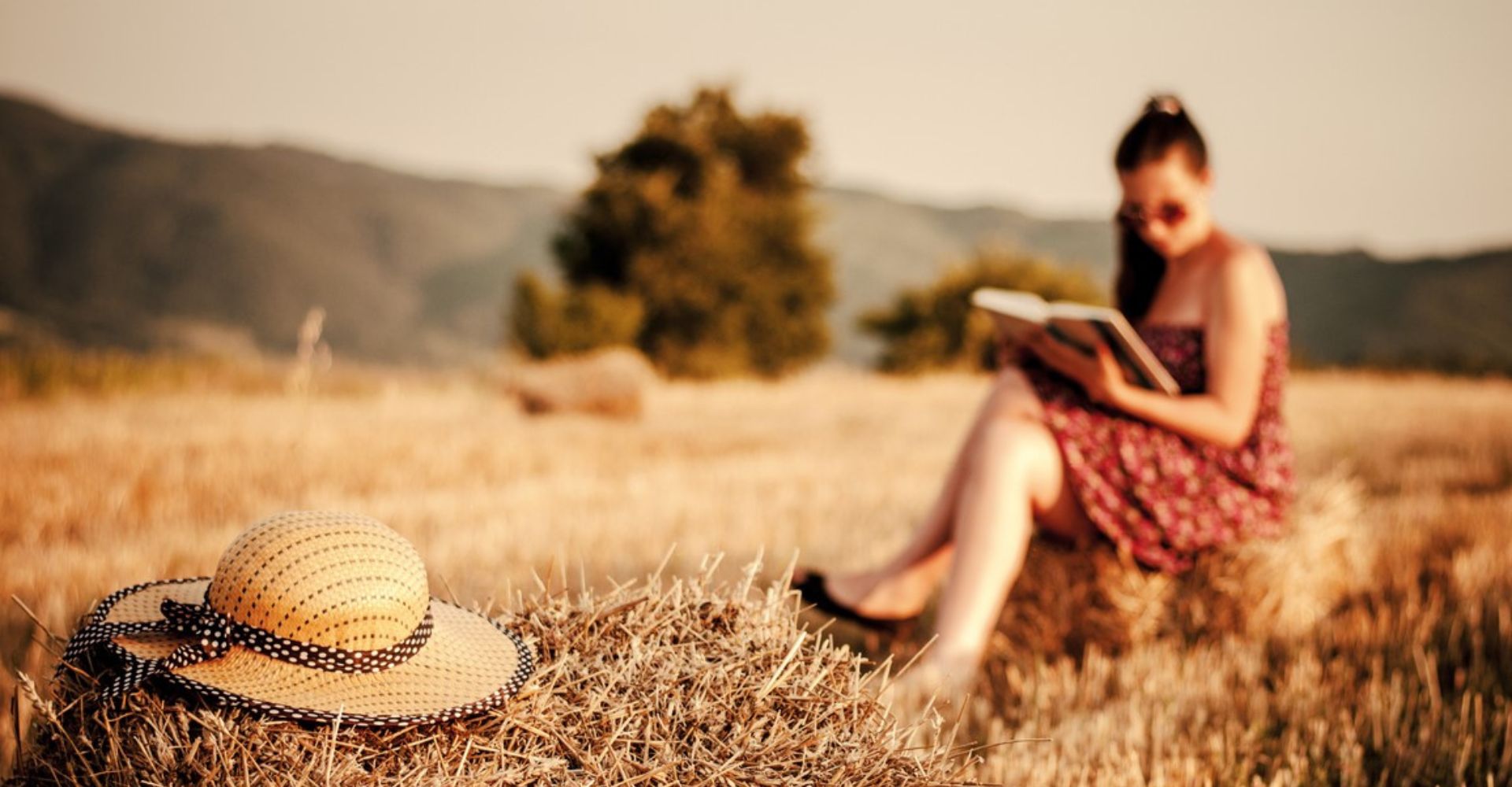 Libri, le ultime uscite da non perdere: oltre 240 novità consigliate a settembre 2026