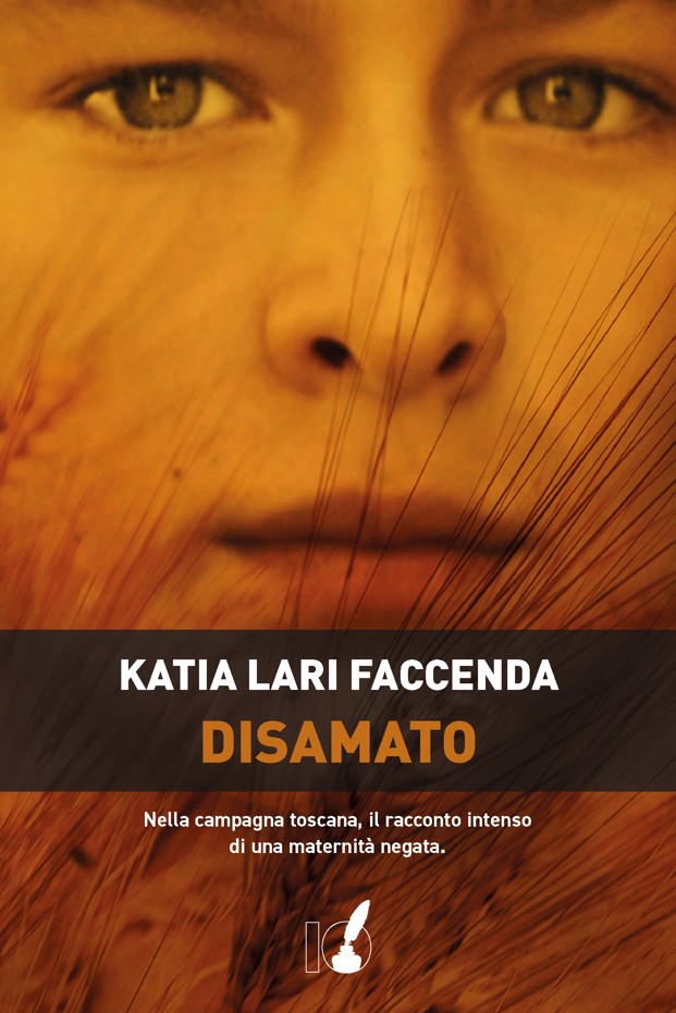 copertina di Disamato di Katia Lari Faccenda