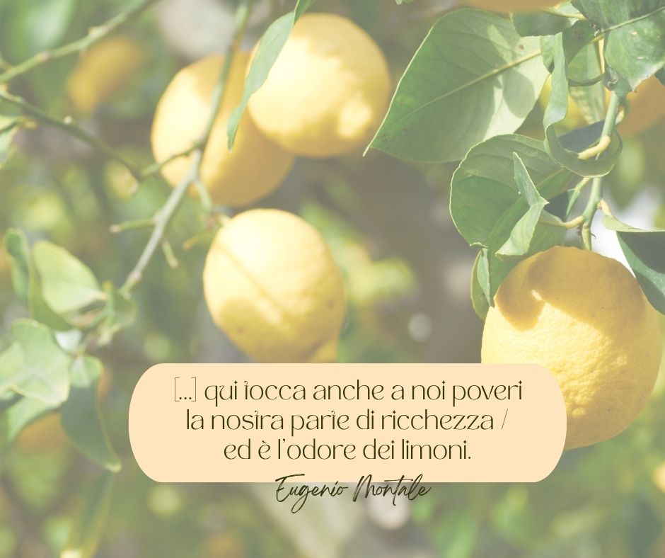 Una delle frasi di Eugenio Montale più conosciute, tratta dalla poesia I limoni