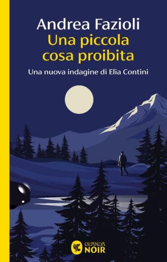 copertina di Una piccola cosa proibita di Andrea Fazioli