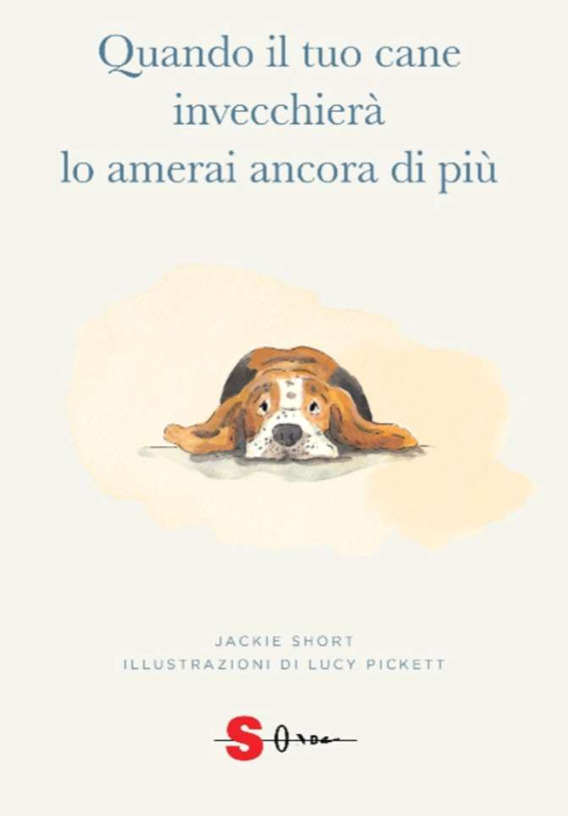 Quando il tuo cane invecchierà