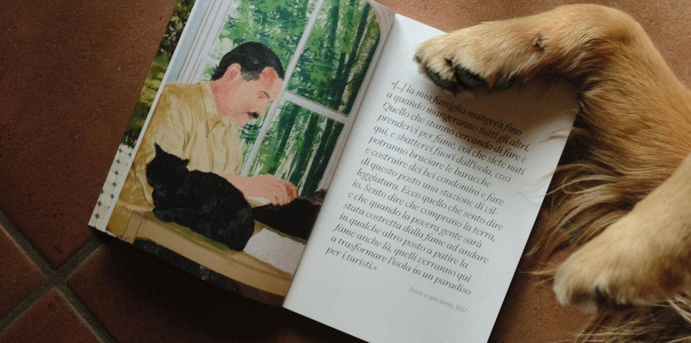 libri cani