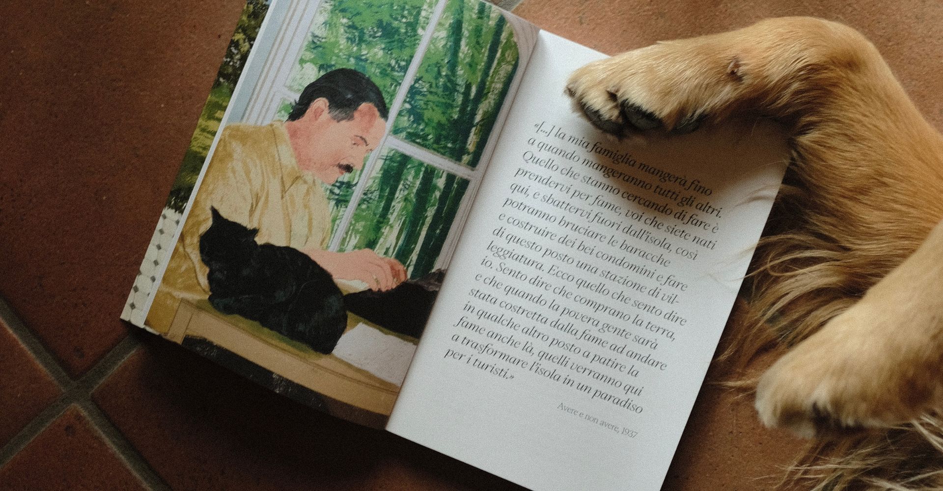 Cani maestri di vita: alcuni libri consigliati